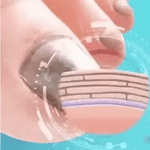 Spray Anti Hongos – Con Veneno de Abeja Natural 🐝 + ENVÍO GRATIS