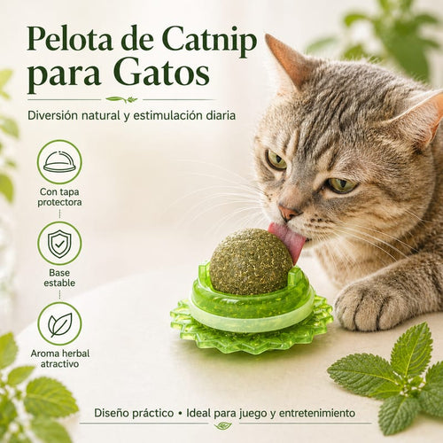 MichiFeliz | Pelota de Catnip Orgánico