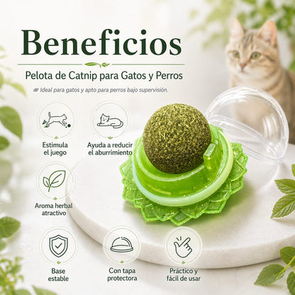 MichiFeliz | Pelota de Catnip Orgánico